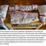 Svinjski lungić - to je koji dio, rezanje svinjskog trupa, dijelovi svinjskog imena